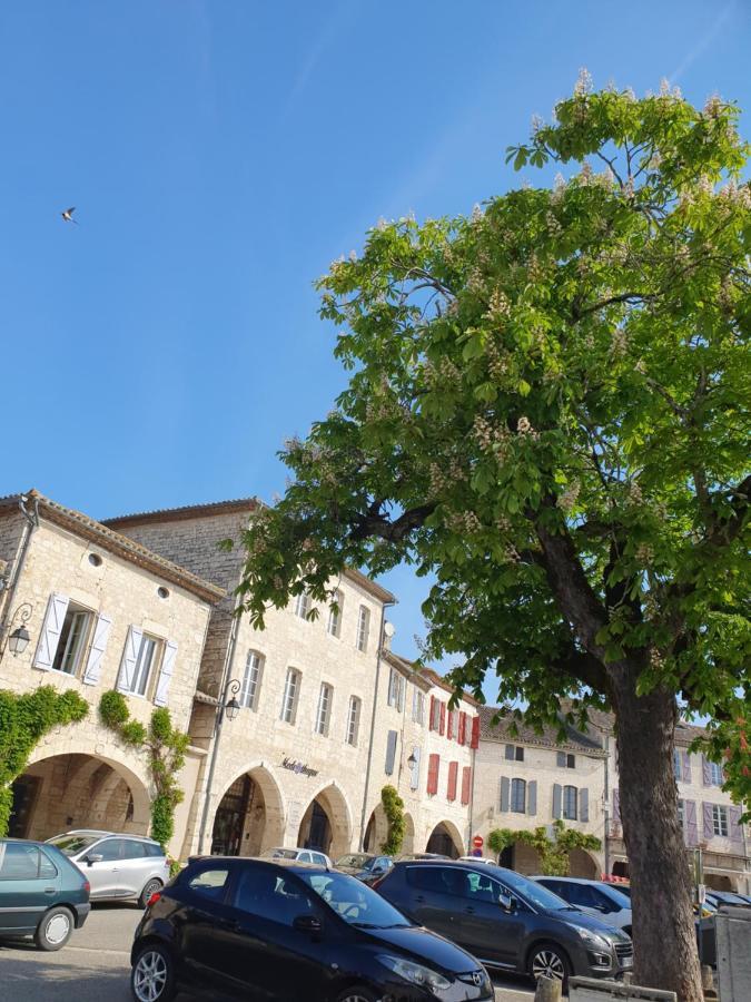 La Cour Saint Louis Bed and Breakfast Castelnau-Montratier Εξωτερικό φωτογραφία